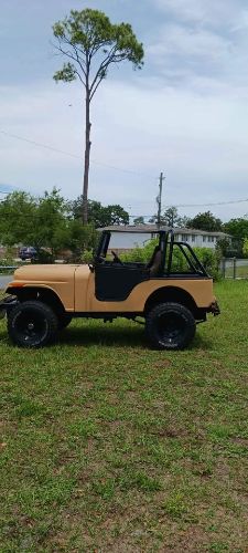 Unknown-Cj5-1975