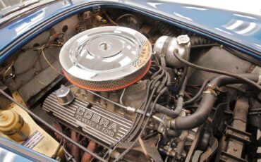 Unknown-Cobra-1964-Blue-32