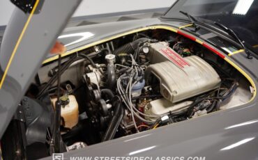 Unknown-Cobra-1964-Gray-Black-1