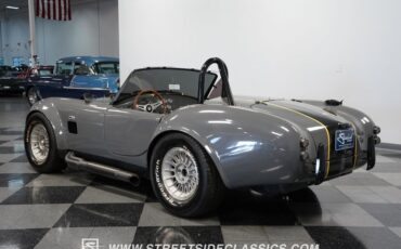 Unknown-Cobra-1964-Gray-Black-18