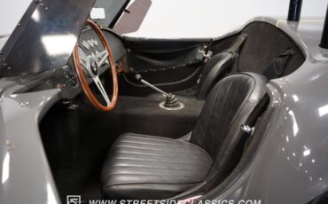 Unknown-Cobra-1964-Gray-Black-2