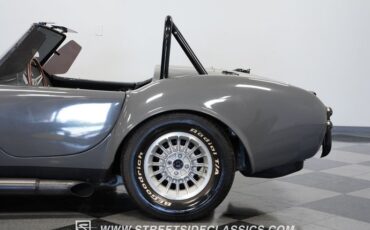 Unknown-Cobra-1964-Gray-Black-29