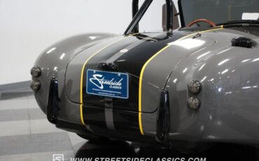 Unknown-Cobra-1964-Gray-Black-31