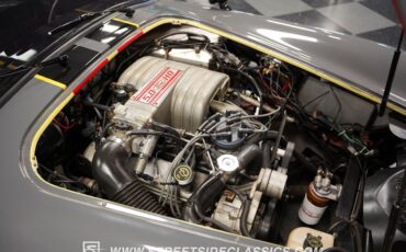 Unknown-Cobra-1964-Gray-Black-37