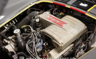 Unknown-Cobra-1964-Gray-Black-5