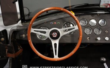 Unknown-Cobra-1964-Gray-Black-6