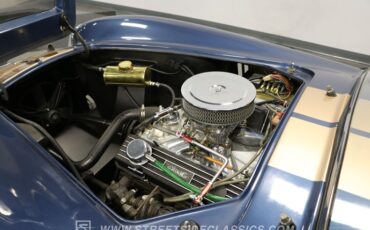 Unknown-Cobra-1965-Blue-Black-10