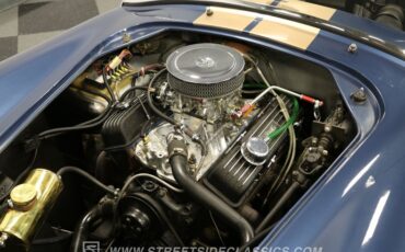 Unknown-Cobra-1965-Blue-Black-36