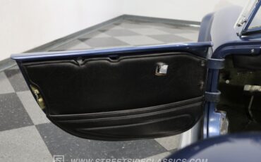 Unknown-Cobra-1965-Blue-Black-45