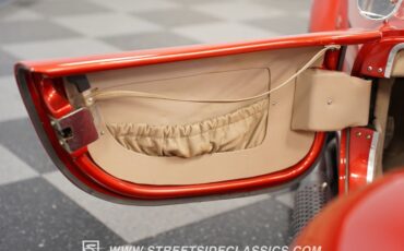 Unknown-Cobra-1965-Copper-Tan-10