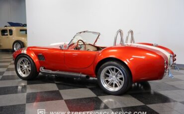 Unknown-Cobra-1965-Copper-Tan-14
