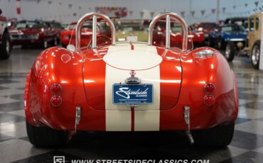 Unknown-Cobra-1965-Copper-Tan-16