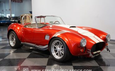 Unknown-Cobra-1965-Copper-Tan-23