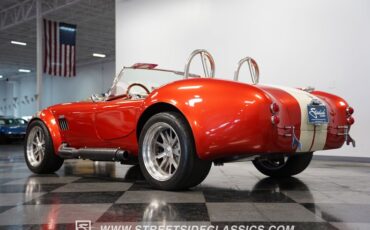 Unknown-Cobra-1965-Copper-Tan-32