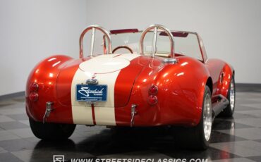 Unknown-Cobra-1965-Copper-Tan-34