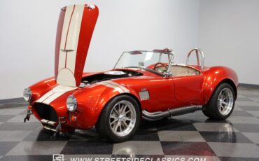 Unknown-Cobra-1965-Copper-Tan-37