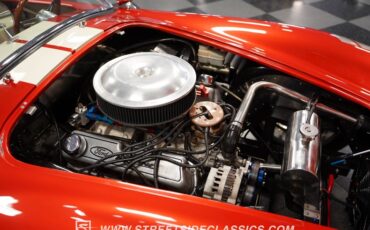 Unknown-Cobra-1965-Copper-Tan-41