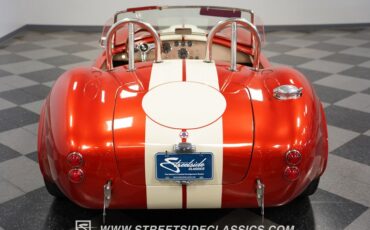 Unknown-Cobra-1965-Copper-Tan-5