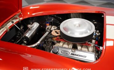 Unknown-Cobra-1965-Copper-Tan-7