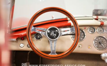 Unknown-Cobra-1965-Copper-Tan-9