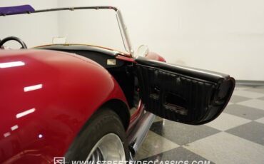 Unknown-Cobra-1965-Maroon-Black-25