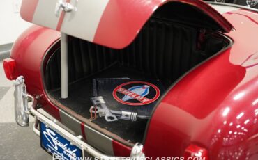 Unknown-Cobra-1965-Maroon-Black-40