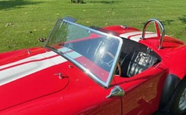 Unknown-Cobra-1965-RED-BLACK-4