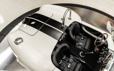 Unknown-Cobra-1965-White-Black-22