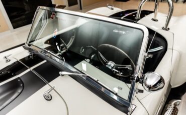 Unknown-Cobra-1965-White-Black-25