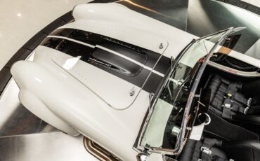 Unknown-Cobra-1965-White-Black-35