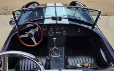 Unknown-Cobra-1966-Blue-Black-1