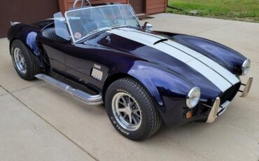 Unknown-Cobra-1966-Blue-Black-11