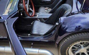 Unknown-Cobra-1966-Blue-Black-27