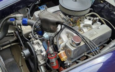 Unknown-Cobra-1966-Blue-Black-28