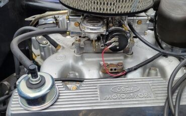 Unknown-Cobra-1966-Blue-Black-29