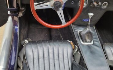 Unknown-Cobra-1966-Blue-Black-32
