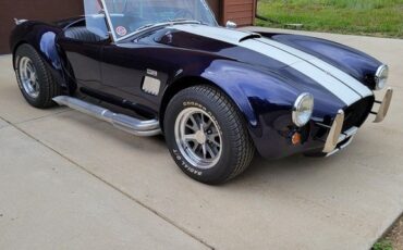 Unknown-Cobra-1966-Blue-Black-39