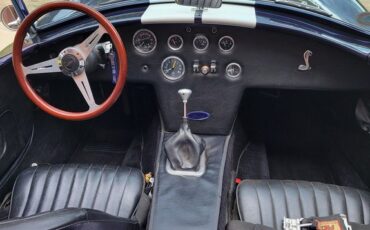 Unknown-Cobra-1966-Blue-Black-40
