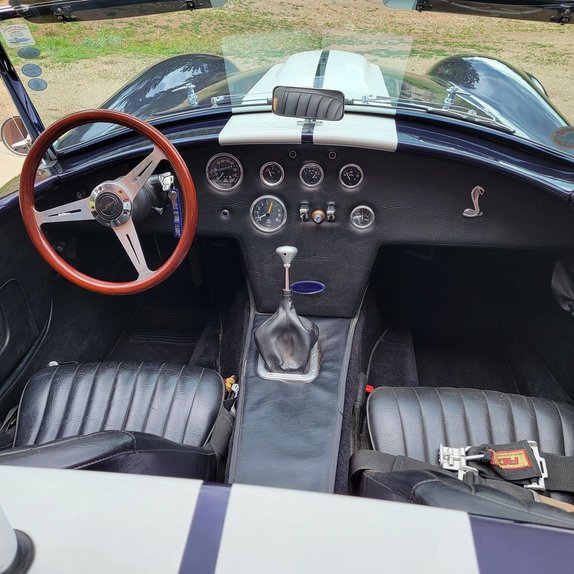 Unknown-Cobra-1966-Blue-Black-40