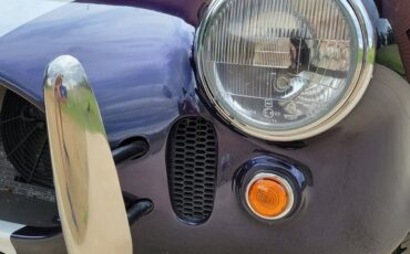 Unknown-Cobra-1966-Blue-Black-48