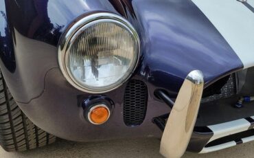 Unknown-Cobra-1966-Blue-Black-7
