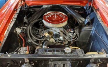 Unknown-Comet-1955-Red-15