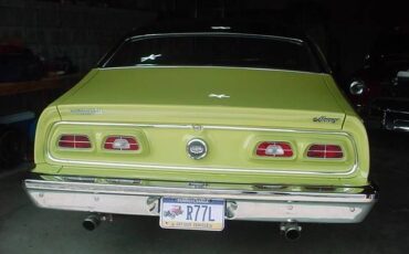 Unknown-Comet-1974-Green-19