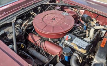 Unknown-Continental-1966-Red-Red-6
