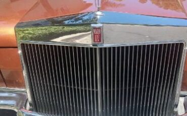 Unknown-Continental-1972-Gold-Moondust-Metall-Brown-leather-10