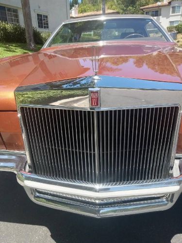 Unknown-Continental-1972-Gold-Moondust-Metall-Brown-leather-10