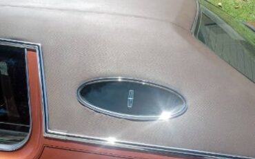 Unknown-Continental-1972-Gold-Moondust-Metall-Brown-leather-6