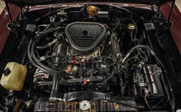 Unknown-Coronet-1966-Dark-Red-Metallic-Black-14