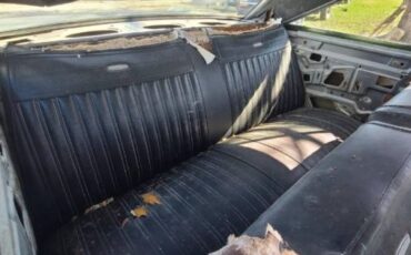 Unknown-Coronet-1967-Black-11