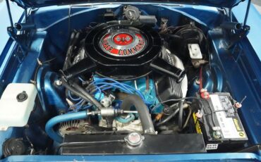 Unknown-Coronet-1967-Blue-Blue-2